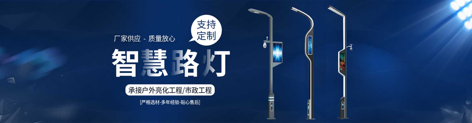 赣榆区太阳能路灯定制厂家